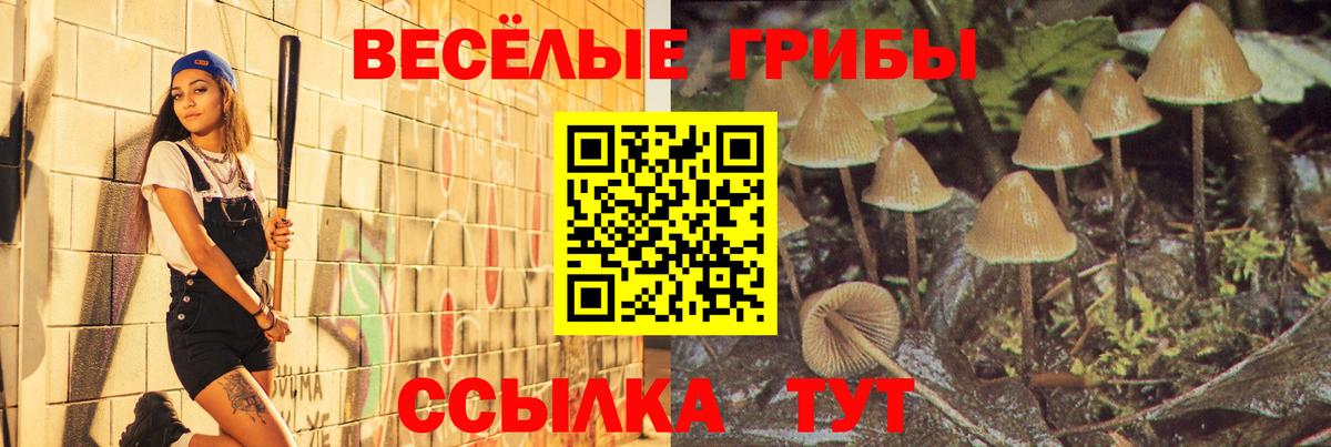 ГАШИШ Апатиты